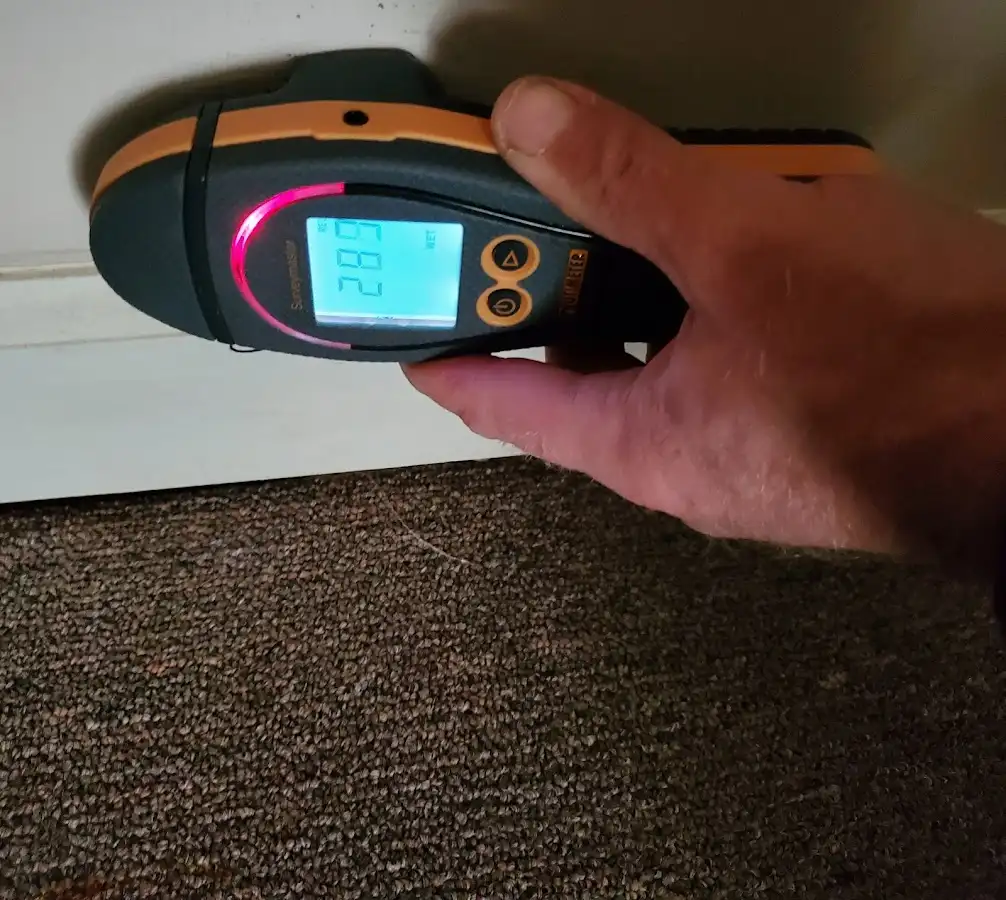 Moisture detection at baseboard during Mold Inspection & Testing in Aberdeen